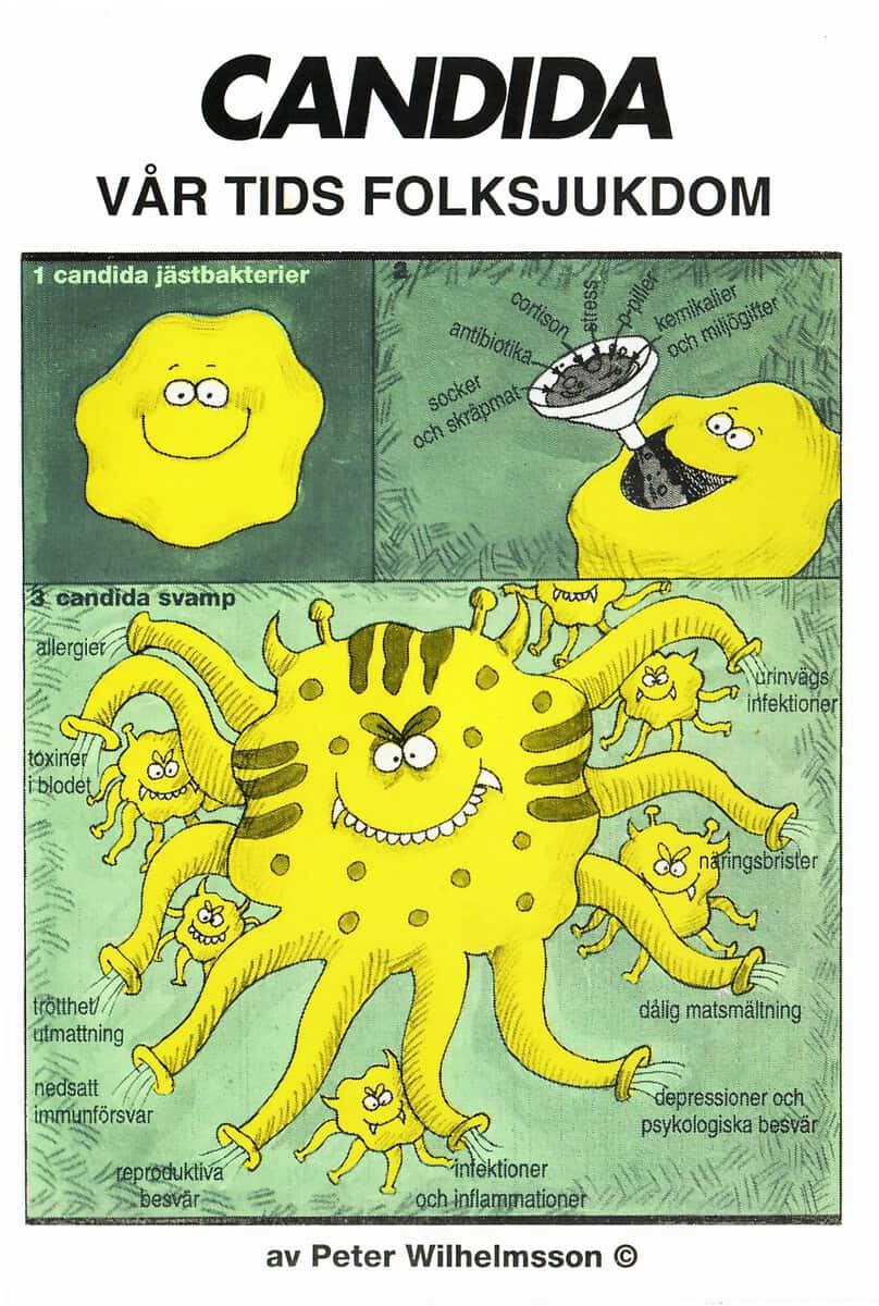 Peter Wilhelmsson : Candida