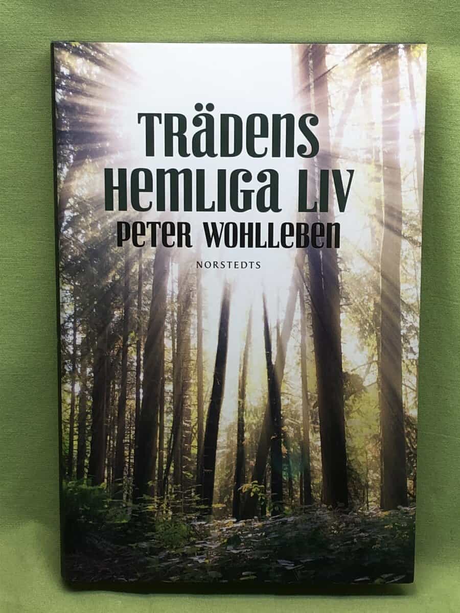 Peter Wohlleben : Trädens hemliga liv