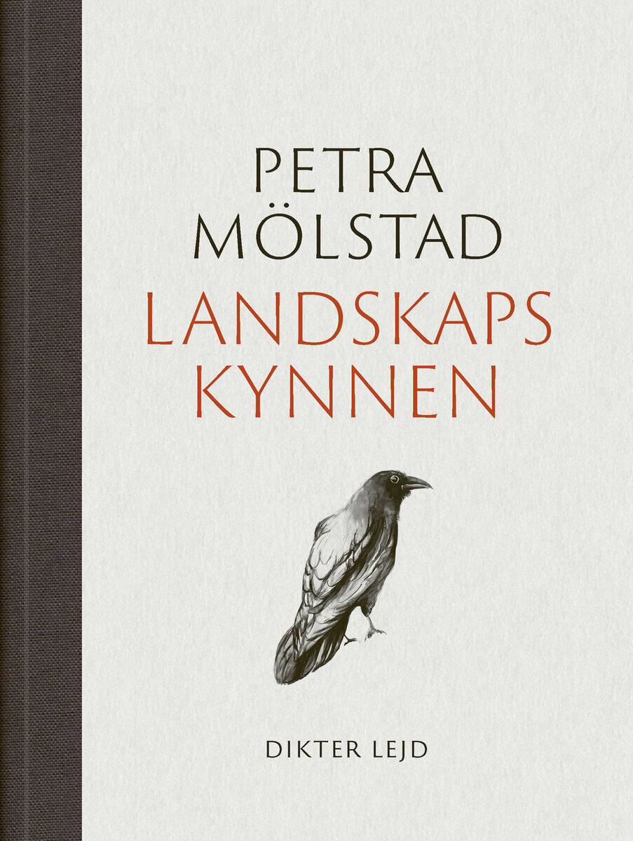 Petra Mölstad : Landskapskynnen