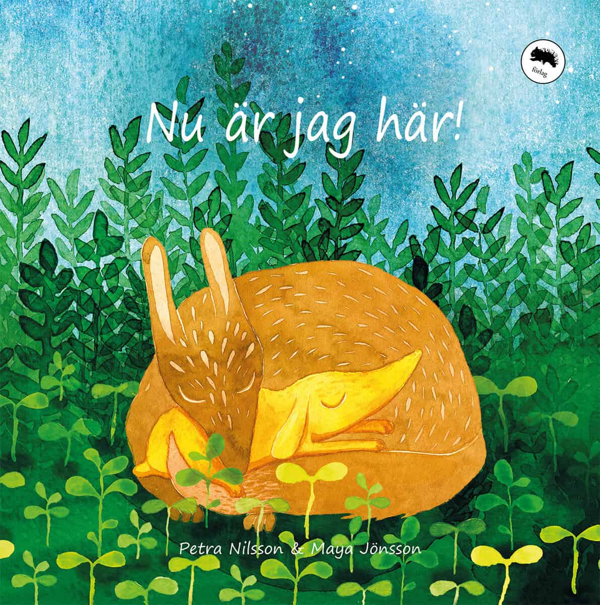 Petra Nilsson : Nu är jag här!