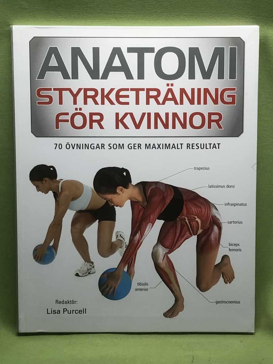 Philip Striano : Anatomi