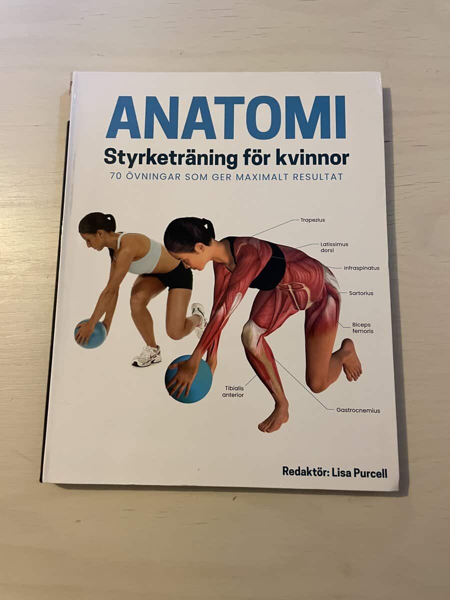 Philip Striano : Anatomi