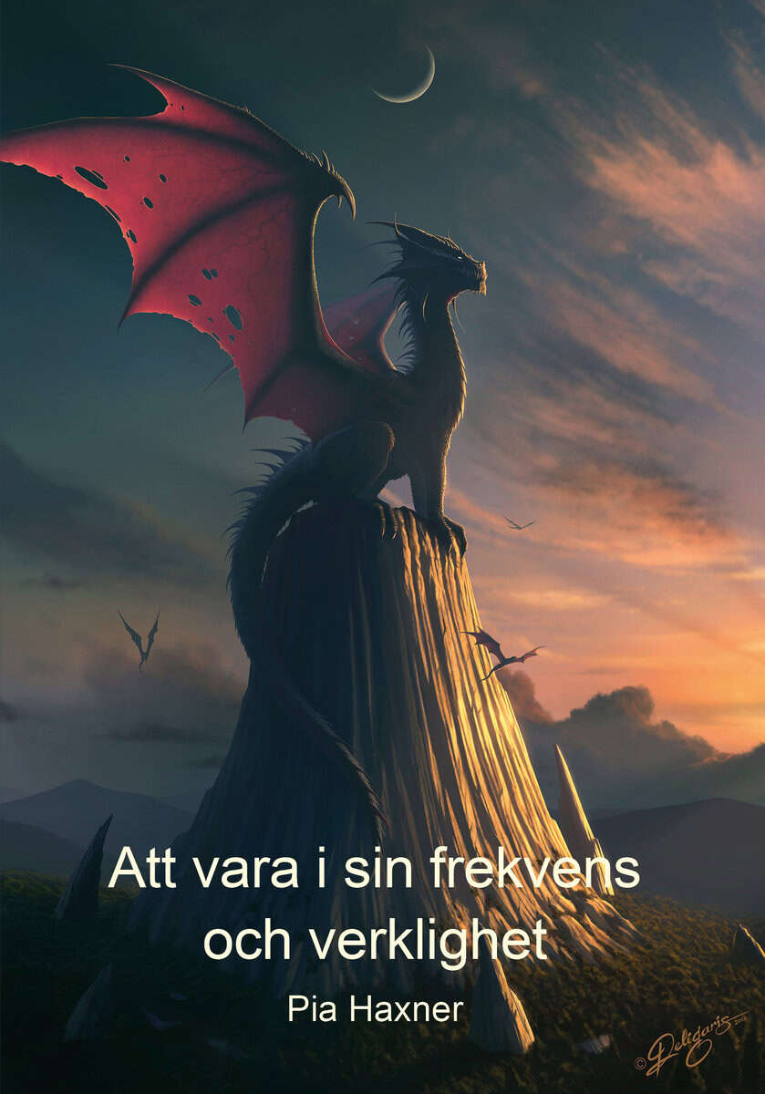 Pia Haxner : Att vara i sin frekvens och verklighet