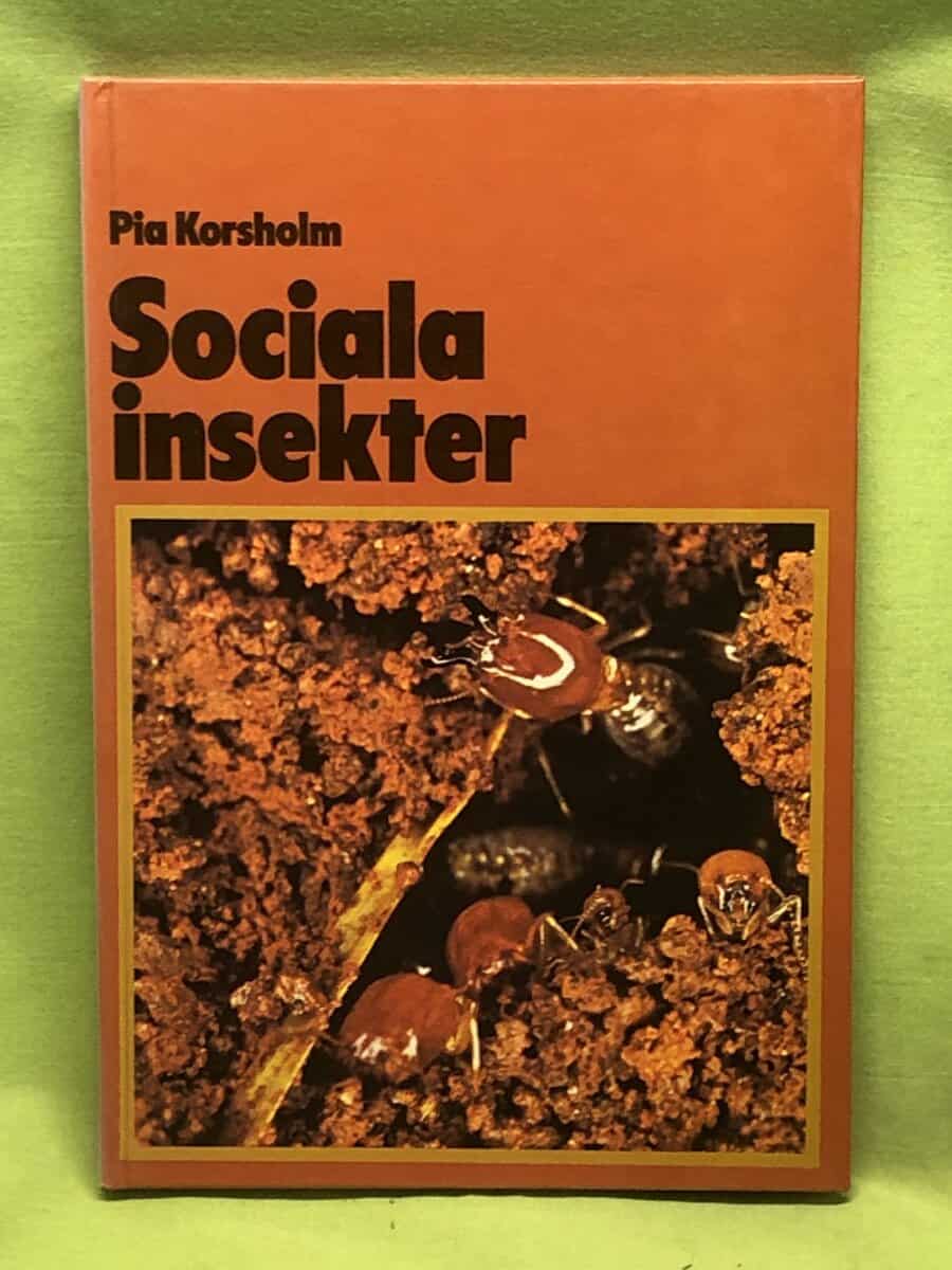 Pia Korsholm : Sociala insekter