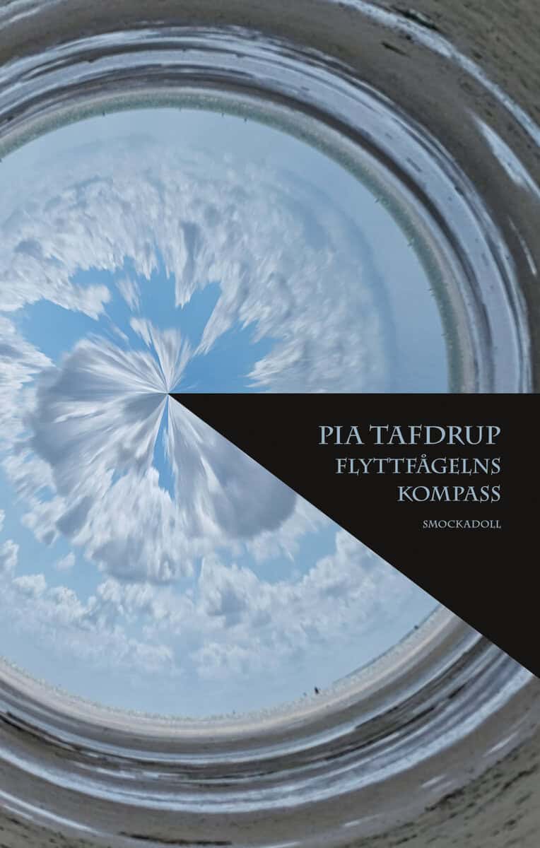 Pia Tafdrup : Flyttfågelns kompass