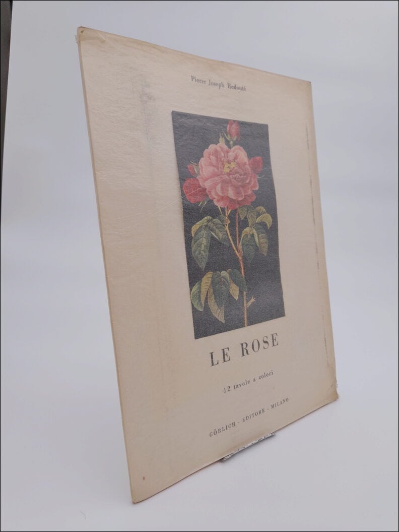 Pierre Joseph Redouté : Le rose