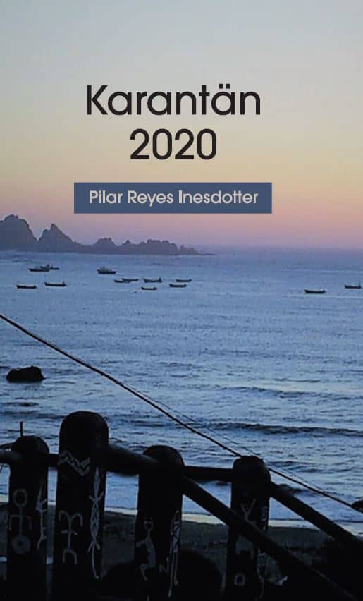 Pilar Reyes Inesdotter : Karantän 2020