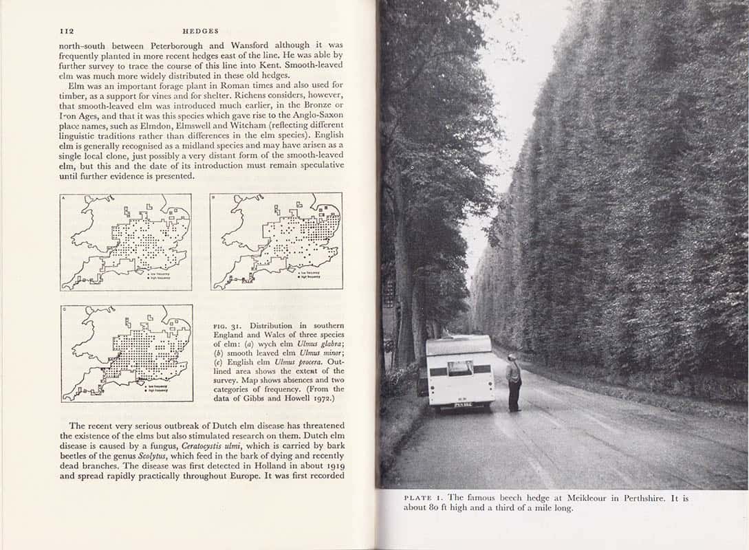 Pollard, Ernest ; Hooper, Maxwell Doriena ; Moore, Norman Winfrid : Hedges. With 20 Plates, 56 Text figures and 20 Tables