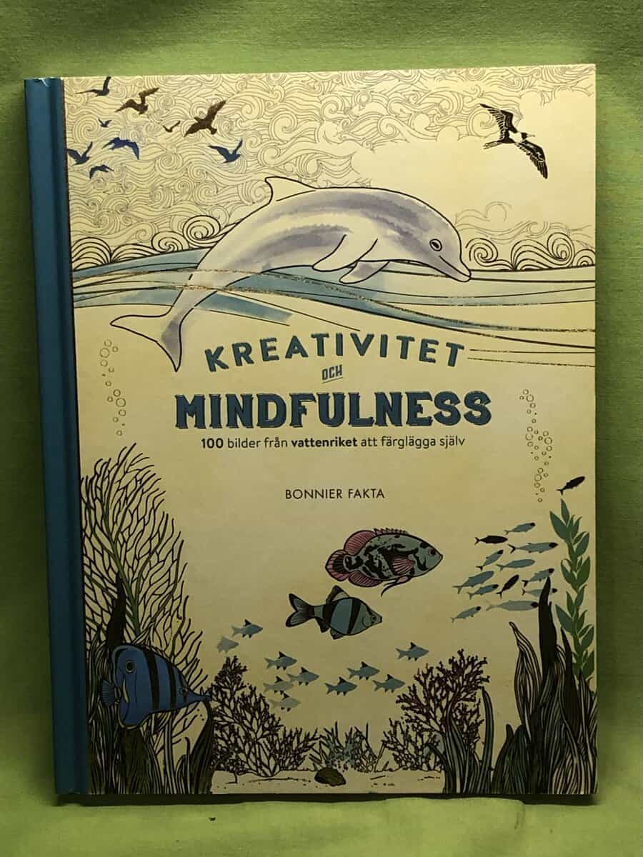 Pontus Dahlström : Kreativitet och mindfulness