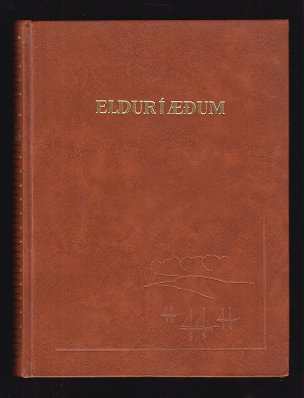 Þorsteinn Thorarensen : Eldur í æðum