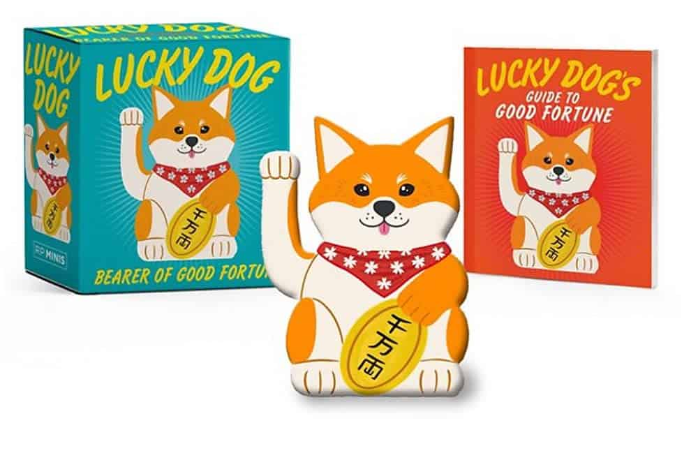 Potenza Victoria : Lucky Dog