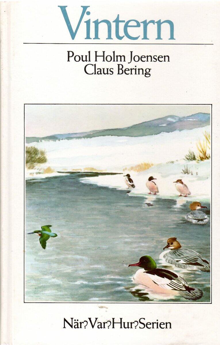 Poul Holm Joensen : Vintern