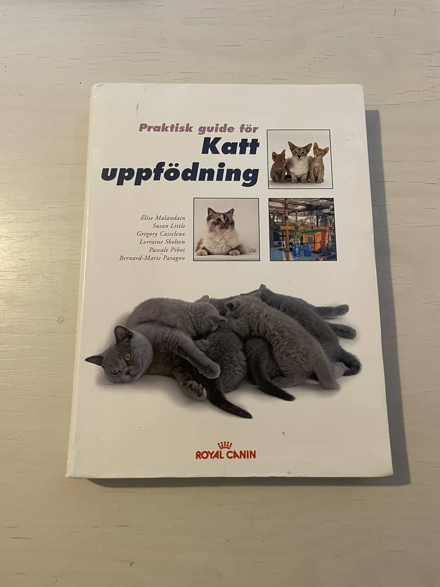 Praktisk guide för kattuppfödning