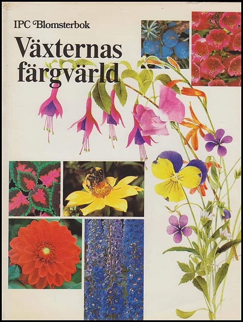 Proctor, Susan ; Proctor, John : Växternas färgvärld