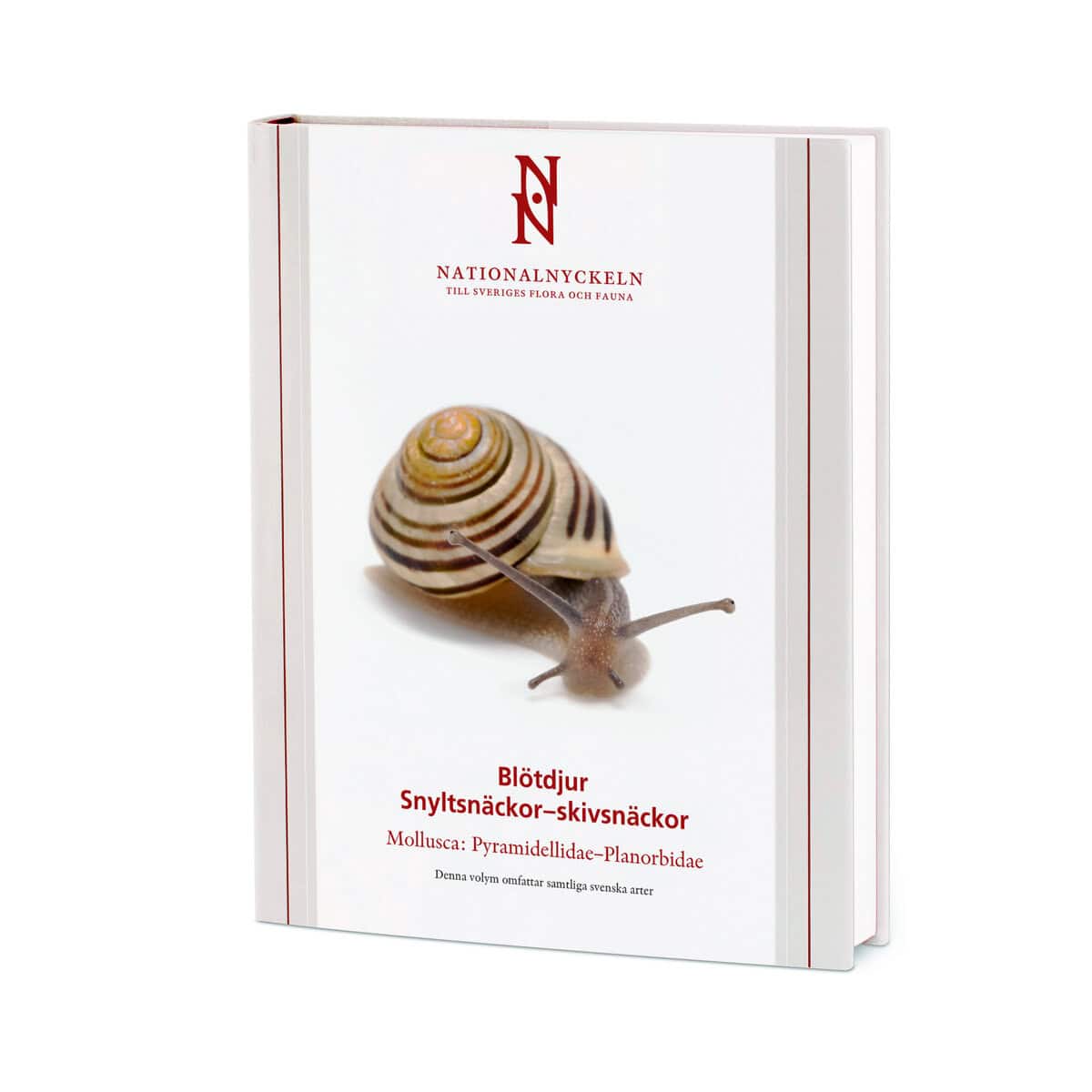 Proschwitz, Ted von ; Roth, Jonas ; Lundin, Kennet : Blötdjur: Snyltsnäckor–skivsnäckor. Mollusca: Pyramidellidae–Planorbidae