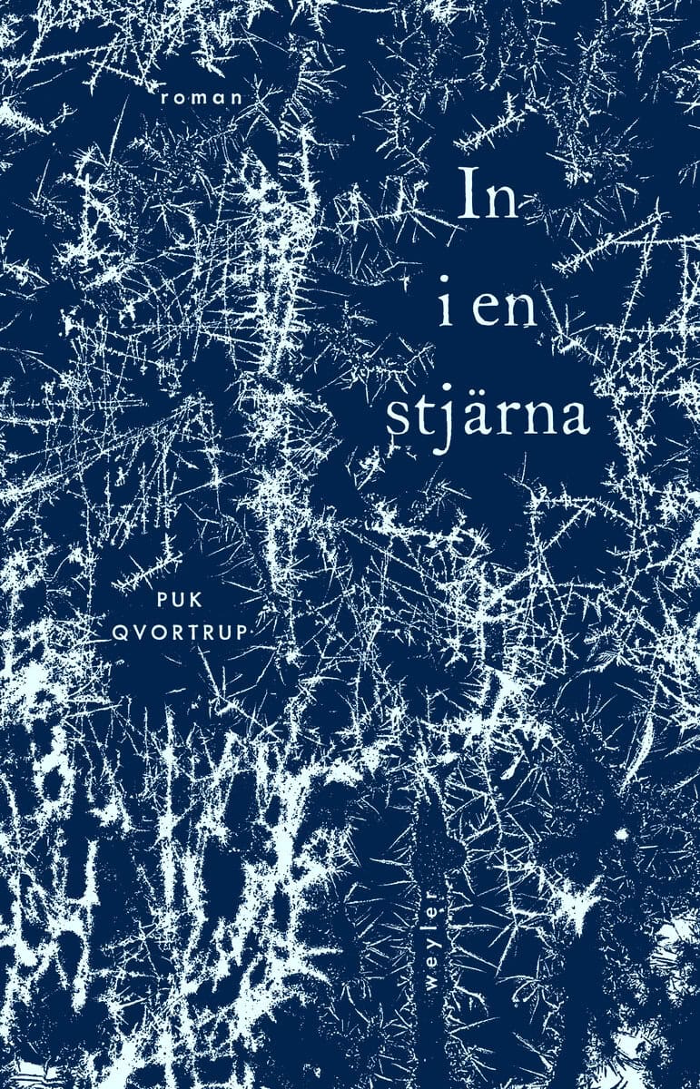 Puk Qvortrup : In i en stjärna