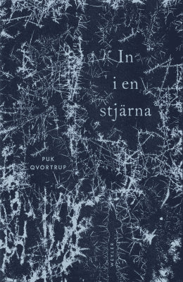 Puk Qvortrup : In i en stjärna