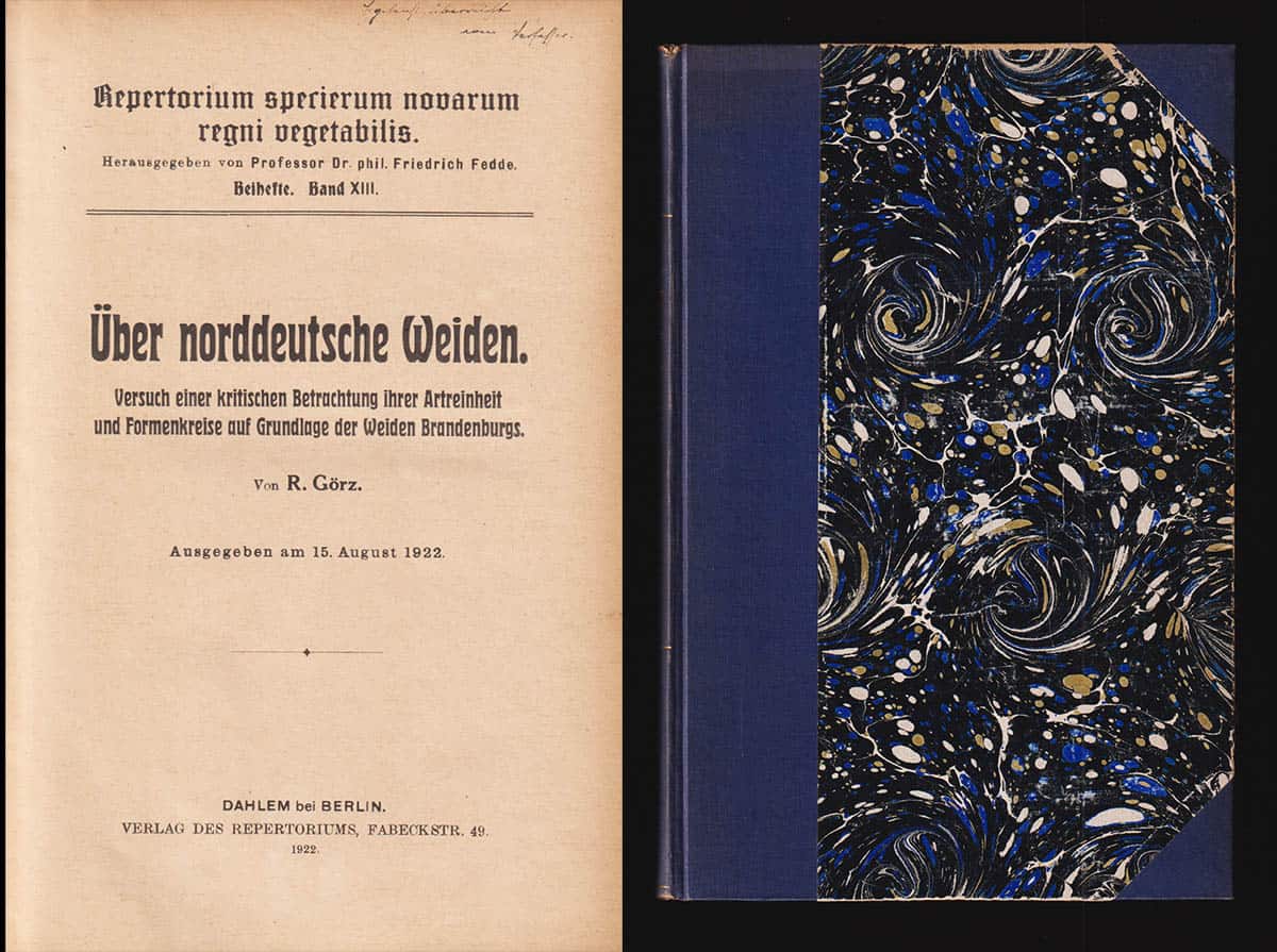 R Görz : Über norddeutsche Weiden