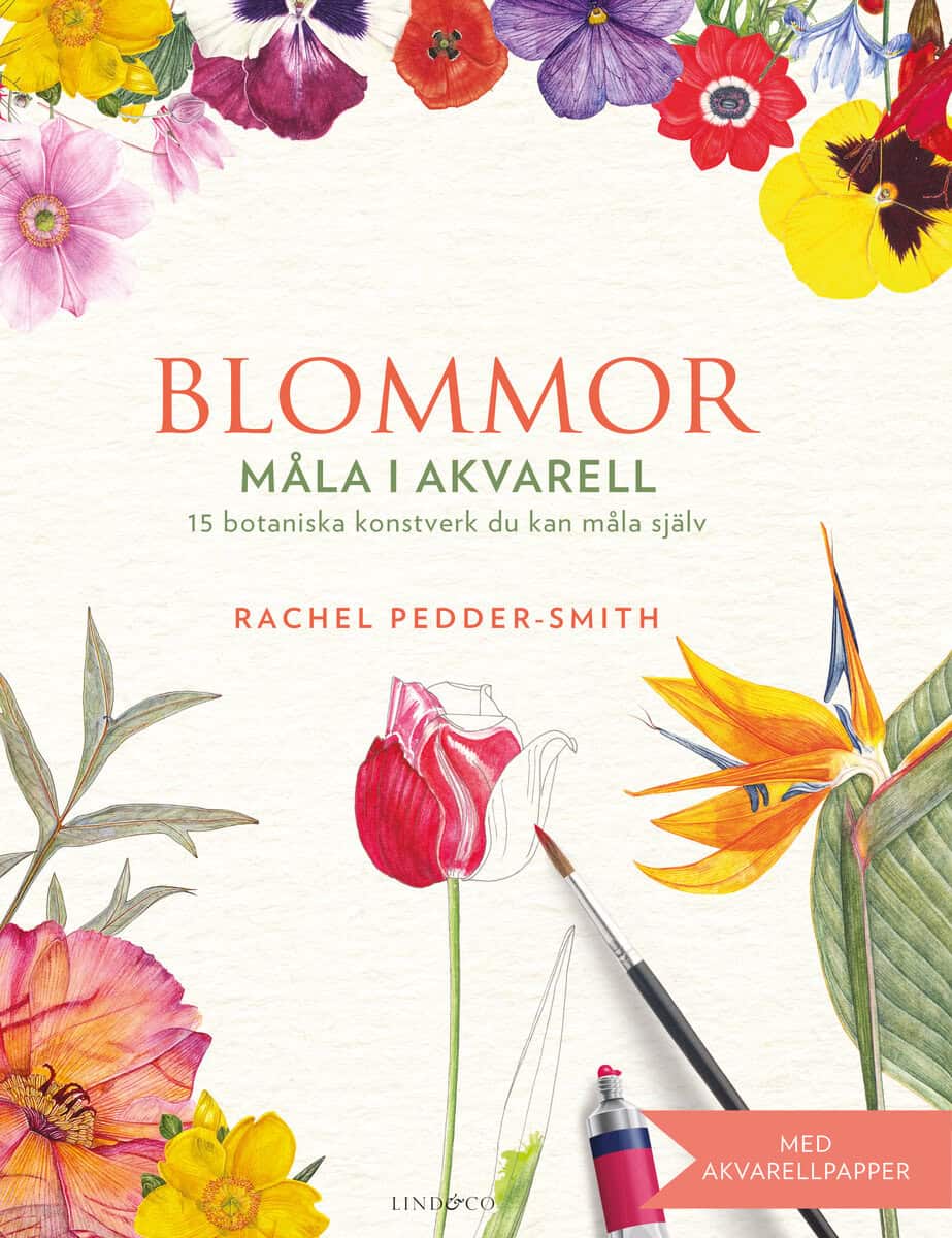 Rachel Pedder-Smith : Blommor : måla i akvarell