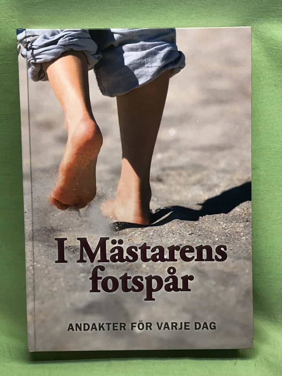 Rainer Refsbäck Elsie Stone : I mästarens fotspår