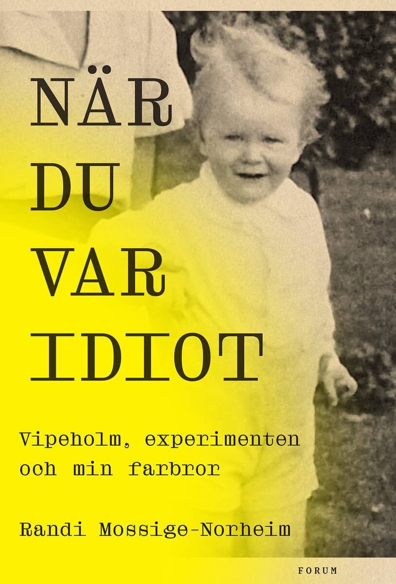 Randi Mossige-Norheim : När du var idiot