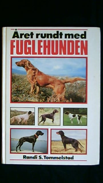 Randi Schulze Tommelstad : Året rundt med fuglehunden