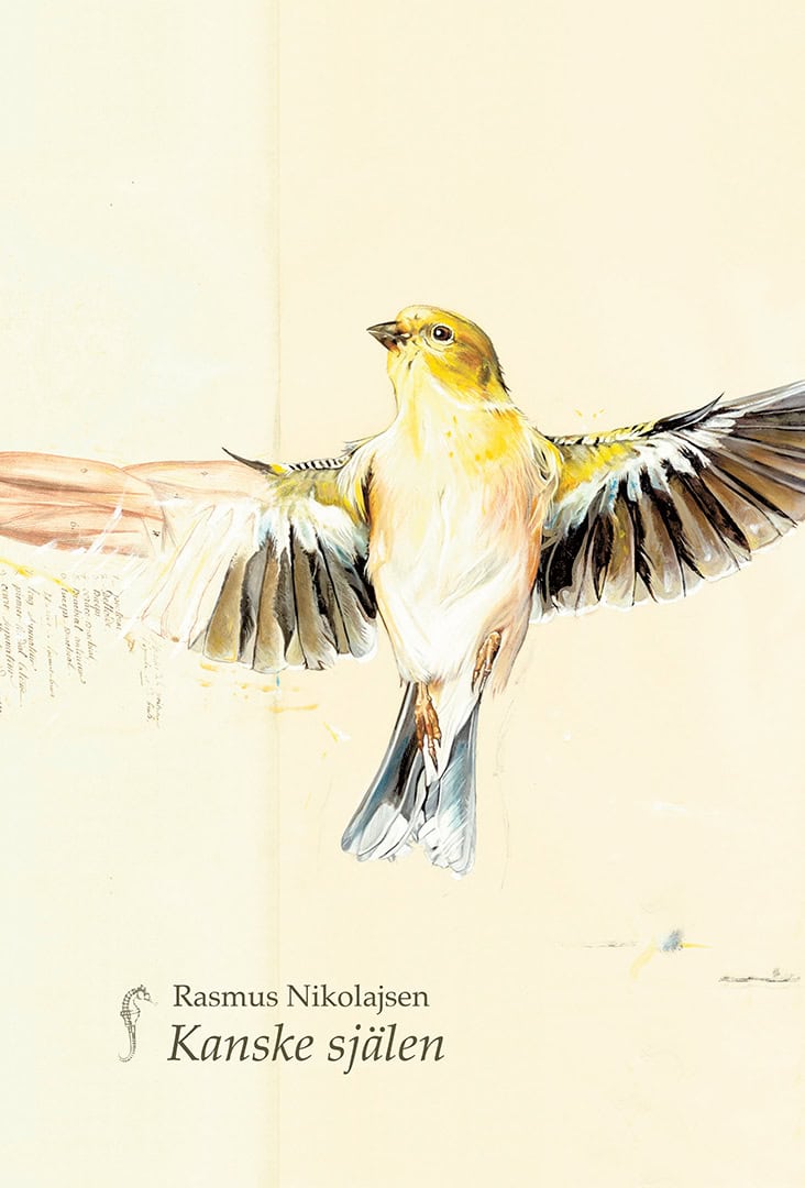 Rasmus Nikolajsen : Kanske själen