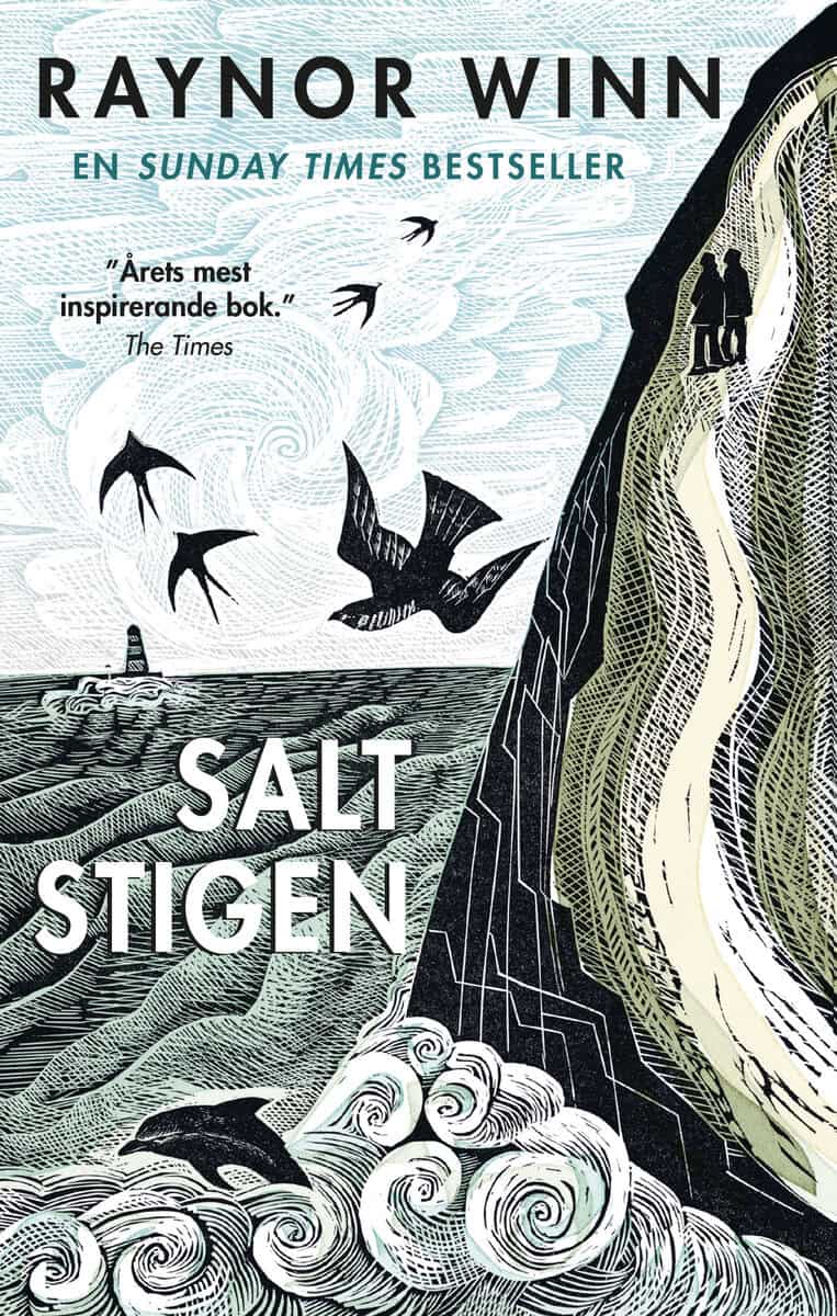 Raynor Winn : Saltstigen
