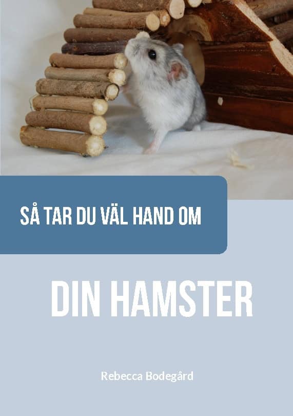 Rebecca Bodegård : Så tar du väl hand om din hamster