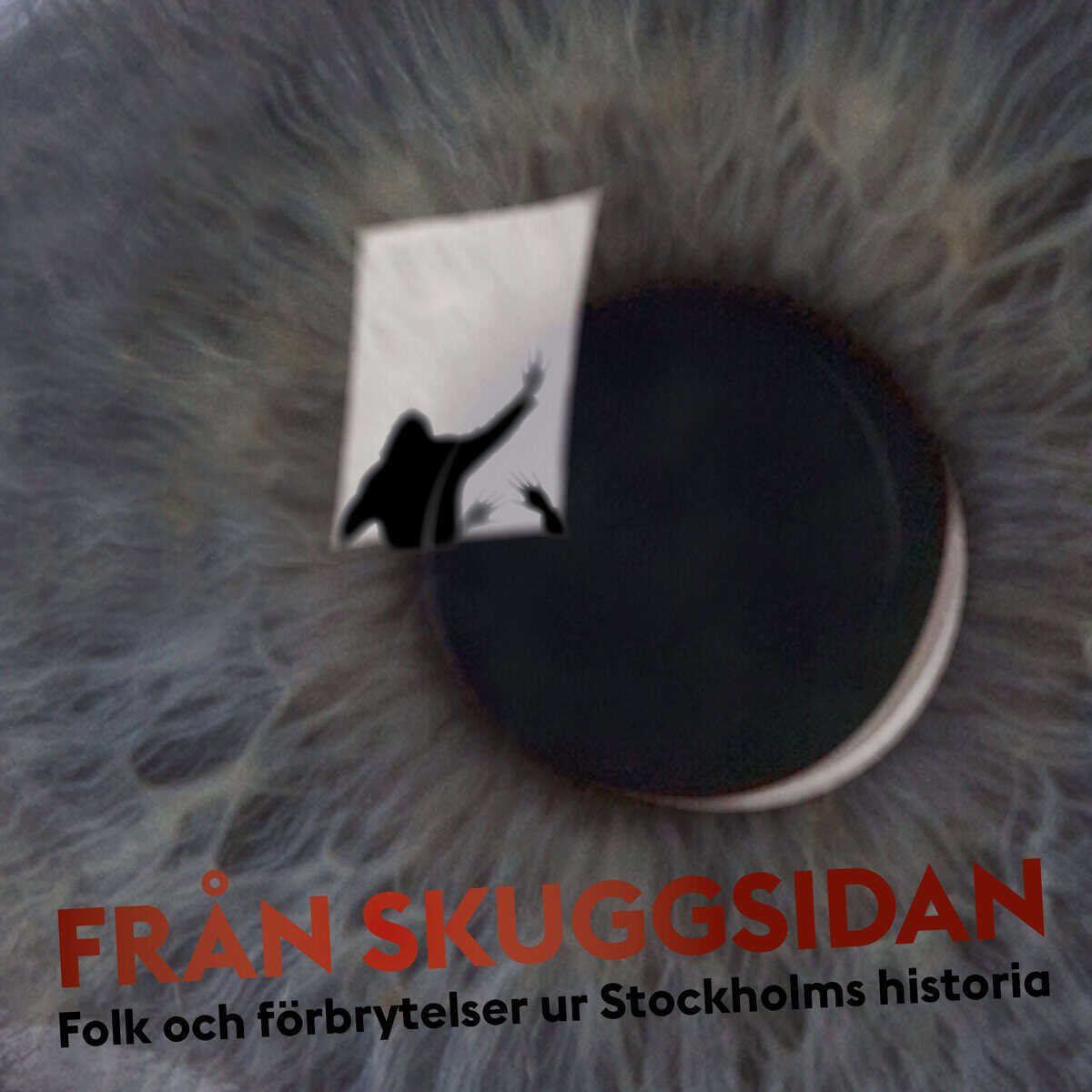Rebecka Lennartsson : Från skuggsidan