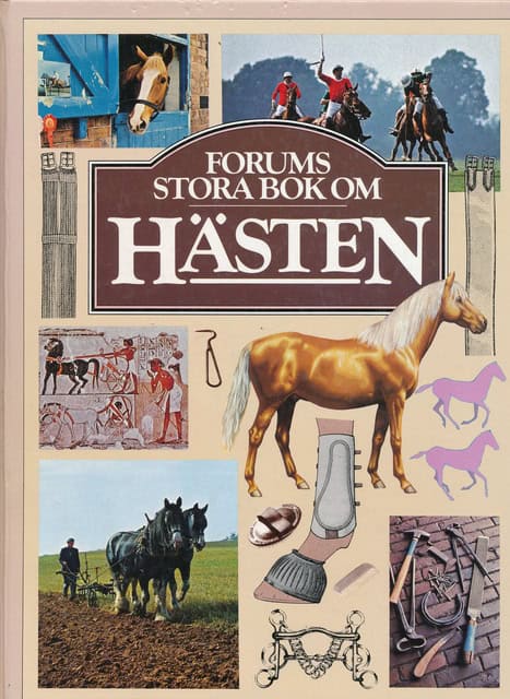 , Redaktion: MacGregor-Morris, Pamela ; Starkey, Jane. : Forums stora bok om hästen