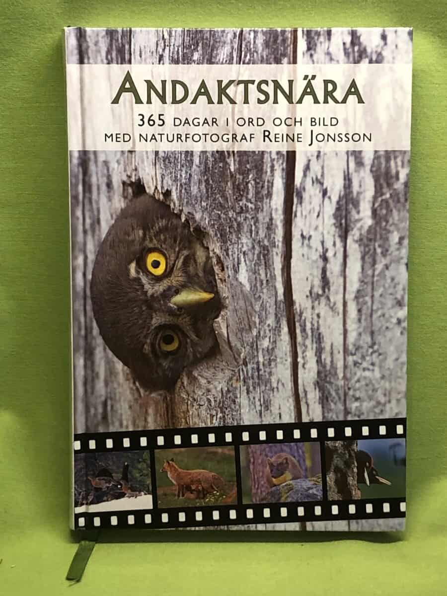 Reine Jonsson : Andaktsnära