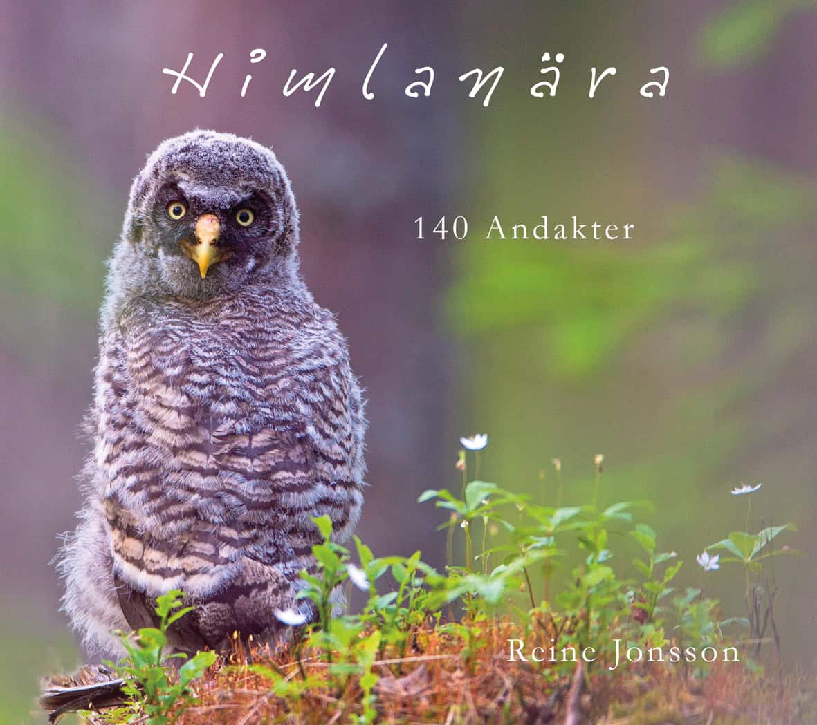 Reine Jonsson : Himlanära