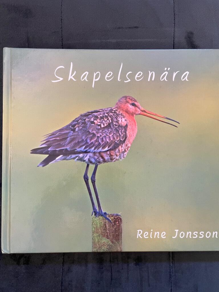Reine Jonsson : Skapelsenära