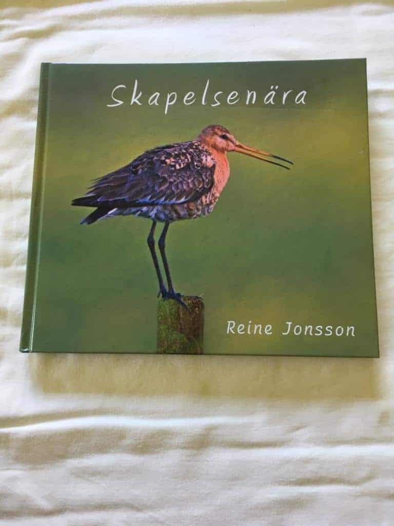 Reine Jonsson : Skapelsenära