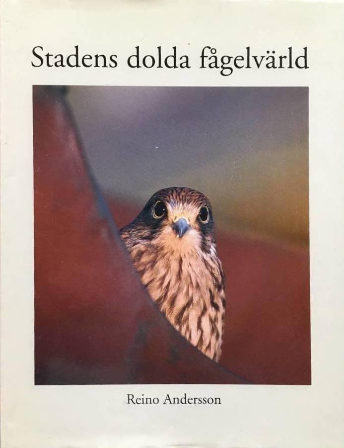 Reino Andersson : Stadens dolda fågelvärld