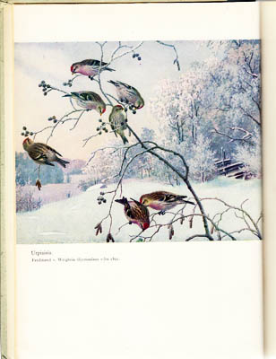 Reino Kalliola : Suomen luonto vuodenaikojen vaihtelussa.