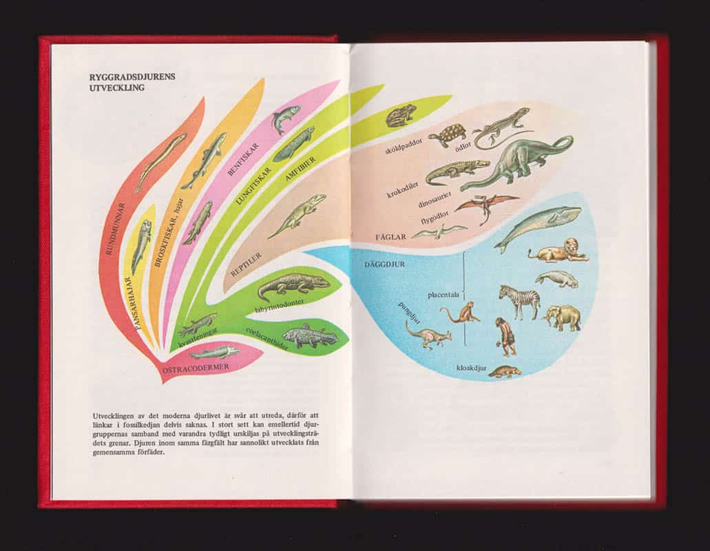 Rhodes, Frank H. T. ; Zim, Herbert S. ; Shaffer, Paul R : Fakta om Fossil