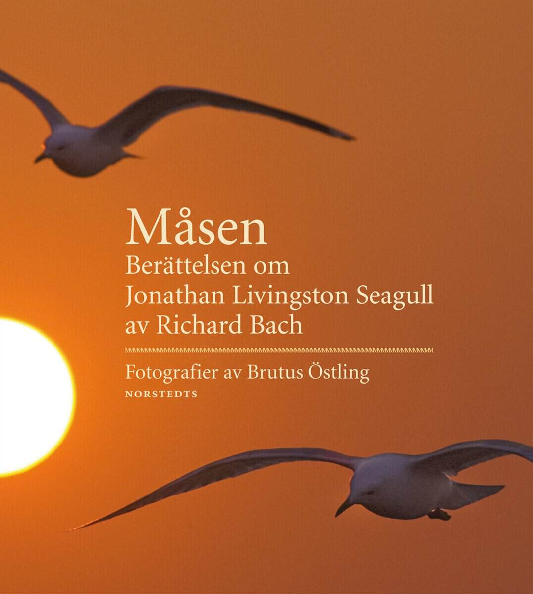 Richard Bach : Måsen : berättelsen om Jonathan Livingston Seagull