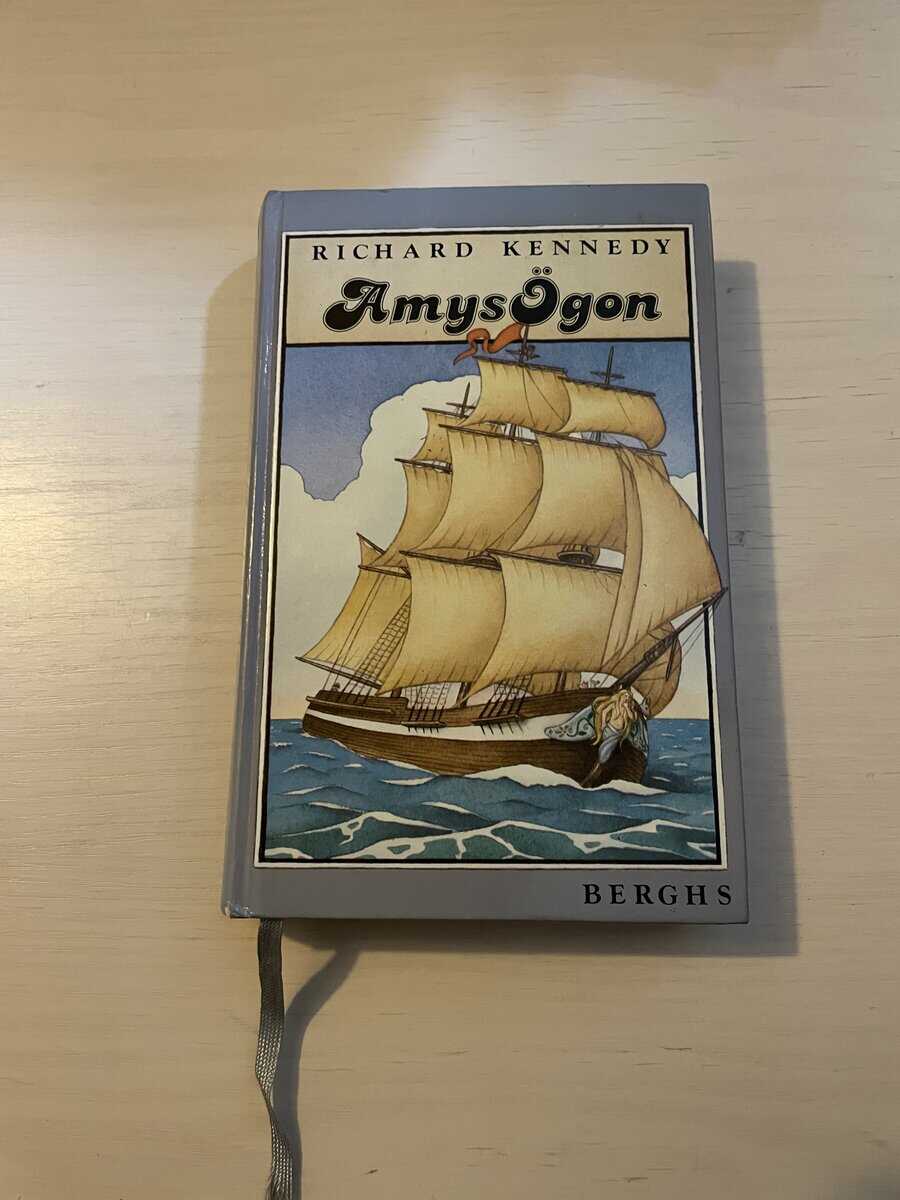 Richard Kennedy : Amys ögon