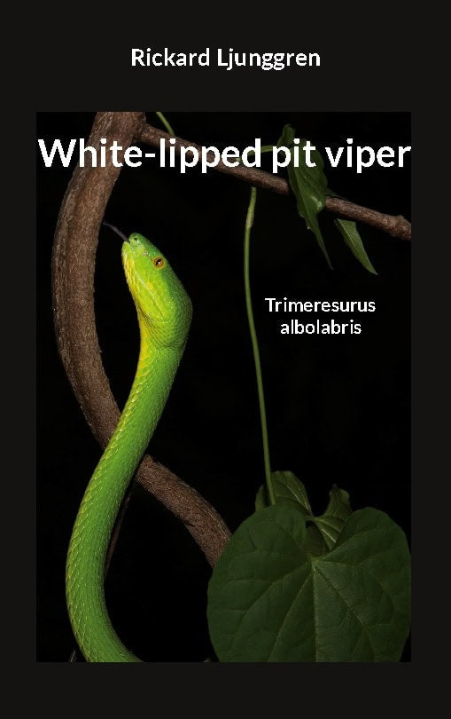 Rickard Ljunggren : White-lipped pit viper : Trimeresurus albolabris