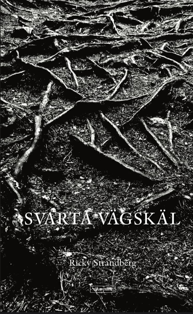 Ricky Strandberg : Svarta vägskäl