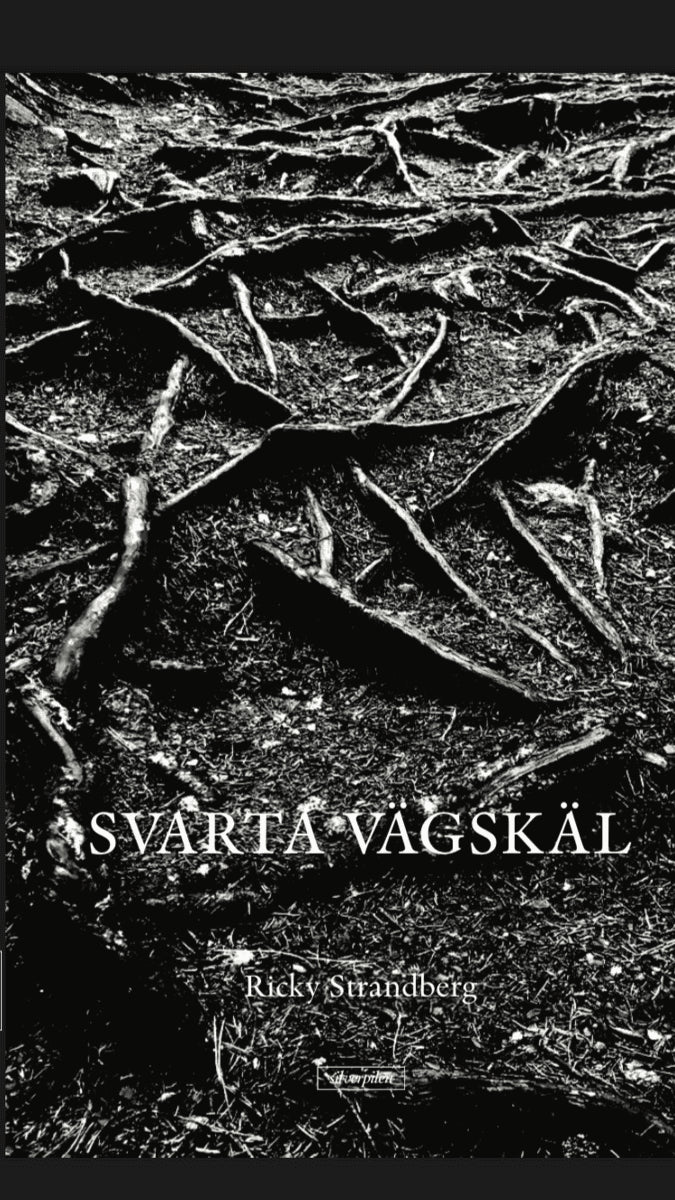 Ricky Strandberg : Svarta vägskäl