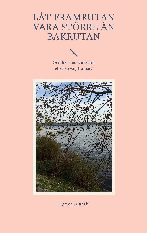 Rigmor Windahl : Låt framrutan vara större än bakrutan : otrohet - en katastrof eller en väg