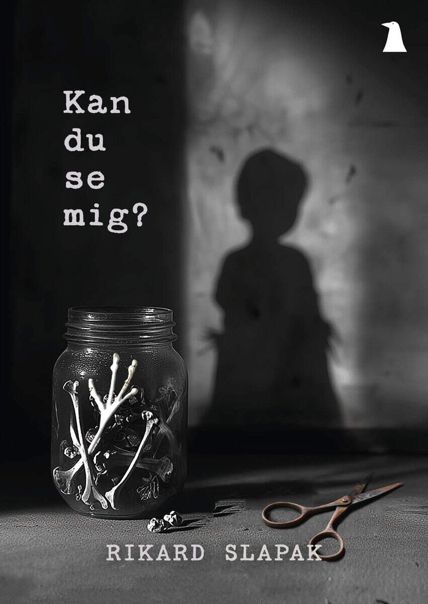Rikard Slapak : Kan du se mig?