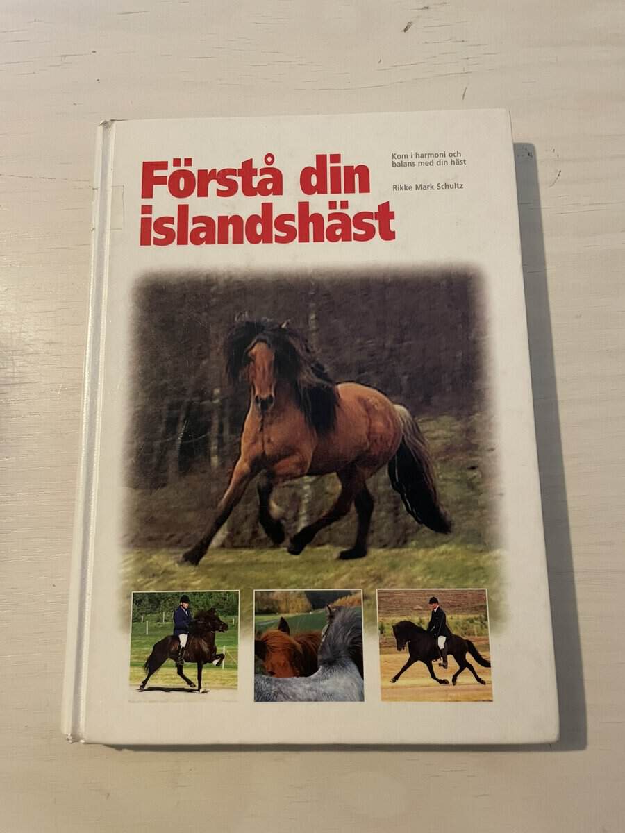 Rikke Mark Schultz : Förstå din islandshäst
