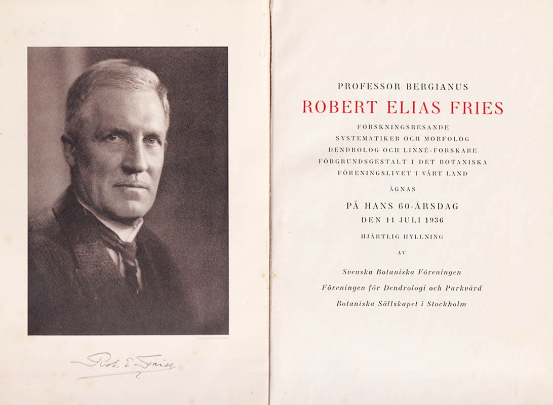 Rob. E. Fries : Hyllning till Professor Bergianus Robert Elias Fries på sextioårsdagen den 11 juli 1936