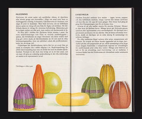 Robert Goodden : Dagfjärilar