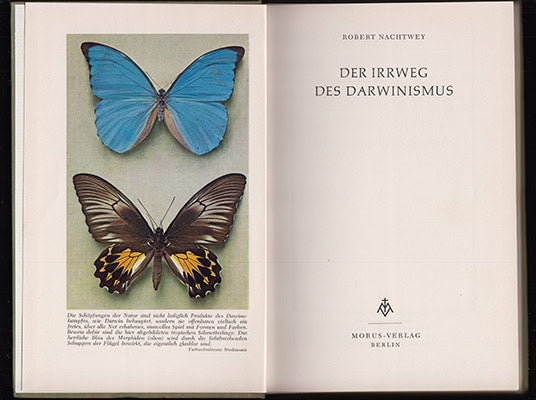 Robert Nachtwey : Der Irrweg des Darwinismus