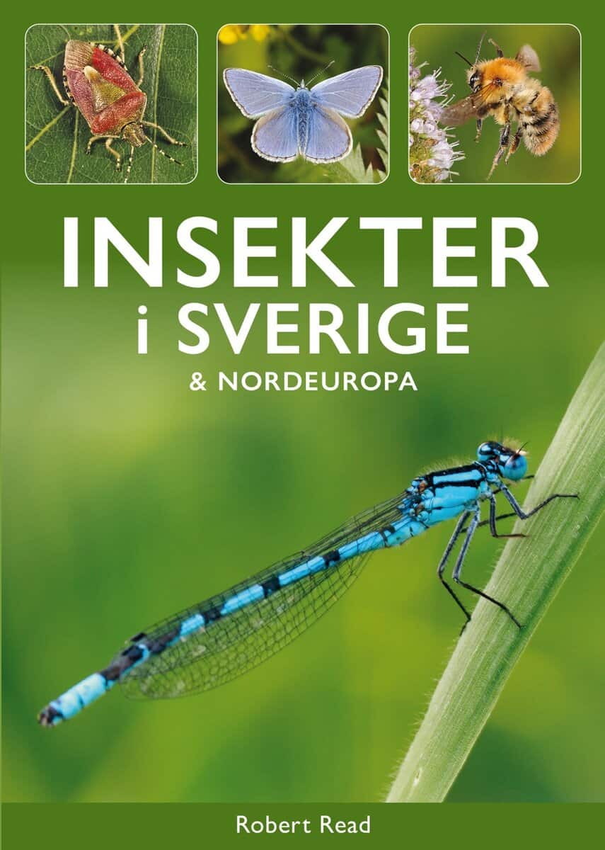 Robert Read : Insekter i Sverige och Nordeuropa